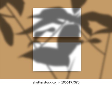 Mockup business cards. Overlay shadow of twigs and leaves