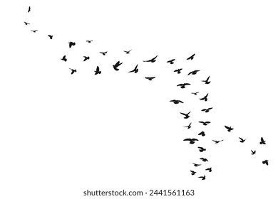 Mockup flock of flying birds, isolated vector