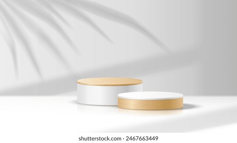 Escenario de maquillaje con Ilustración vectorial realista de sombra de rama de palma. Escaparate vacío. Producto presentación podio objeto 3d sobre fondo blanco