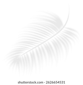 Mockup with tropic leaves shadow and overlay effect for product presentation and seasonal design. Realistic transparent shadow from a leaf of a palm tree. Vector illustration