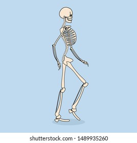 Model for animation, each bone on a separate layer.