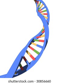 model of dna