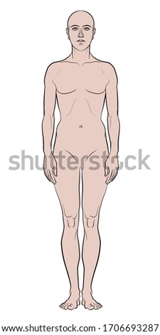 Model of the human body. Hand drawn androgynous, gender-neutral figure on isolated background, front view.