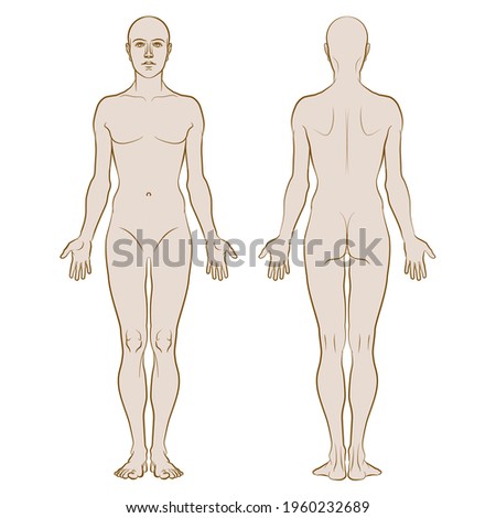 Model of the human body. Hand drawn gender-neutral figure on isolated background, front and back views, colored variant. Flat vector, EPS 8.