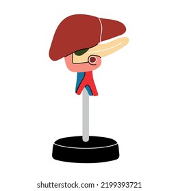 Modelo de un hígado humano en un soporte en línea plana. Caricatura de órgano anatómico, ilustración vectorial de la medicina, biología, fisiología. Salud, demostración, educación, sistema, cuerpo, organismo, ciencia.