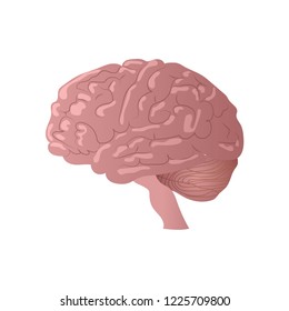 1225709800