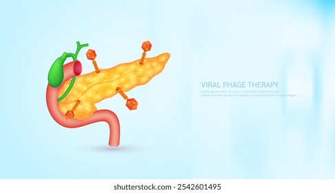 Model red bacteriophage on pancreas. Phage therapy or phagotherapy. Virus affects destroys harmful bacterial cell human internal. Medical science research and analysis. Banner vector EPS10.