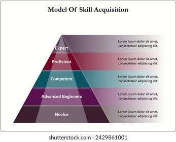 Model of skill acquisition - Expert, Proficient, Competent, Advanced beginners, Novice. Infographic template with icons