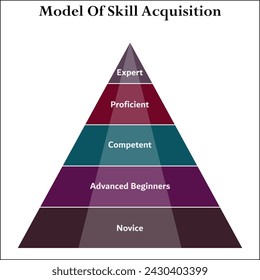 Model of skill acquisition - Expert, Proficient, Competent, Advanced beginners, Novice. Infographic template with icons