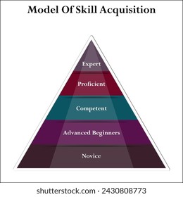 Model of skill acquisition - Expert, Proficient, Competent, Advanced beginners, Novice. Infographic template with icons