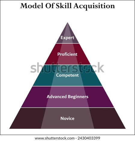 Model of skill acquisition - Expert, Proficient, Competent, Advanced beginners, Novice. Infographic template with icons