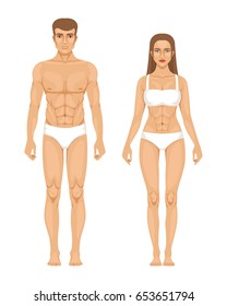 Model of sporty man and woman standing front view. Different body parts. Vector illustration