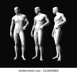 Models of polygonal people in different poses. 3D human body model. Vector for brochure, flyer, presentation, logo or banner.