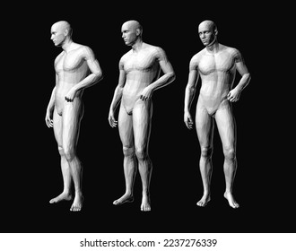 Models of polygonal people in different poses. 3D human body model. Vector for brochure, flyer, presentation, logo or banner.