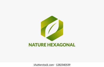 modern 3D Nature Hexagonal logo template designs vector illustration