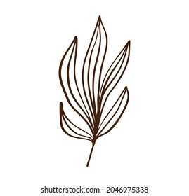 Modern abstrac leaf of hand drawn shapes and doodle design elements. Exotic contemporary trendy vector illustration. Perfect for boho posters, instagram posts, stickers.