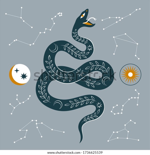 蛇 熱帯の枝 星 月 星座を持つ現代の抽象アート 坊方 宇宙のミニマリズム的シーン 分離型エレメント パステルカラーのクリップアート画像 魔法の神秘的な奥義のコンセプト のベクター画像素材 ロイヤリティフリー