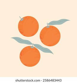 Modern abstract background with orange fruits. Vector illustration.