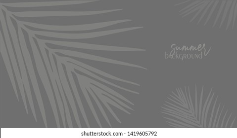 Modern abstract background with palm shadows.