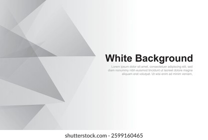 Modern Abstract Background. White Grey effect decoration. Modern graphic design element concept for presentation Vector