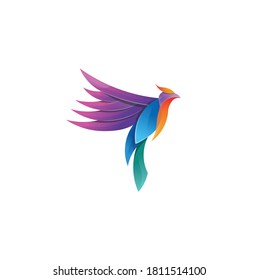 Modern Abstract Colorful Flying Bird Hawk Phoenix Falcon Logo DesignVector