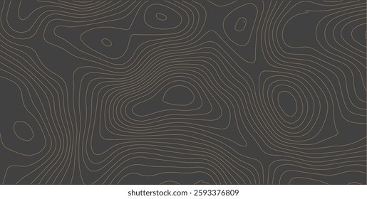 Modern and Abstract Elevation Lines Pattern Featuring a Curved Topographic Design
