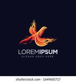 Modern abstract Fire phoenix logo icon vector template on black background