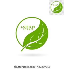 Modern abstract green round sign with leaf for logos, banners, layouts, corporate  brochures, templates and internet web sites. Vector eps10 illustration