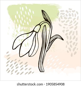 modern abstract illustration of snowdrops flowers, leaves, different lines and shapes for wall decoration, postcards or brochure cover design. vector design illustration
