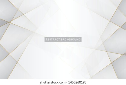 Modern abstract light silver background vector. Elegant concept design with golden line.