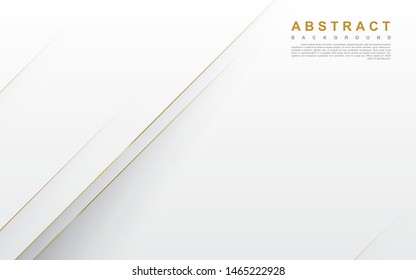 Modern abstract light silver background vector. Elegant concept design with golden line.