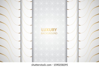Modern abstract light silver background vector. Elegant shape design with golden line. Luxury vector design template concept for use element modern cover, banner, card, corporate, advertising