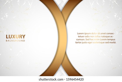 Modern abstract light silver background vector. Elegant shape design with circle golden line. Luxury vector design template concept for use element modern cover, banner, card, corporate, advertising
