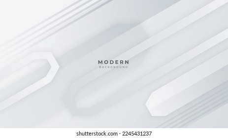 Modern abstract light white silver background vector. Elegant concept design with grey line.