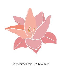 Modern abstract lily flower. Vector cute illustration on white background.
