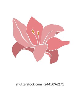 Modern abstract lily flower. Vector cute illustration on white background.