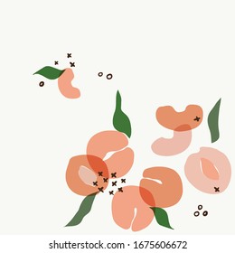 Modern abstract peach apricot art vector leaves background Hand draw leaves and line art background 