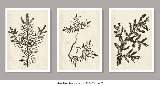 Modern abstract plant vector set. Botanical wall art on neutral beige texture. Hand-drawn black pine and fur branch. Contemporary minimalist design for interior decor, cover, wallpaper, poster, print