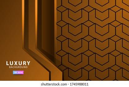 modern abstract premium vector background banner with light line in geometric texture.