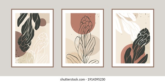 Modern abstract of protea flower and tropical leaves lines and arts background with different shapes for wall decoration, postcard or brochure cover design. Vector illustrations design.