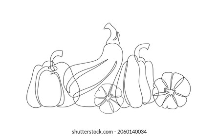 Modern abstract pumpkin drawing. Autumn pumpkins outlines isolated on white background. Squashes line art wallpaper for boho style, fall mood, thanksgiving, halloween, notebook print