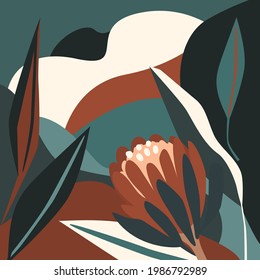 modern abstract  shapes and botanical protea flower art design  vector illustration