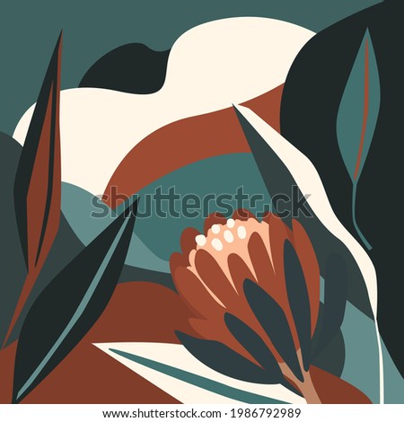 modern abstract  shapes and botanical protea flower art design  vector illustration