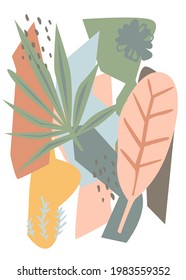 modern abstract  shapes, botanicals, foliage artistic art print vector illustration