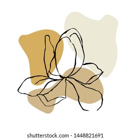 Modern abstract shapes vector background or layout. Contour line drawing flower of magnolia.  Modern minimalism art, aesthetic contour. Pastel Scandinavian color palette.