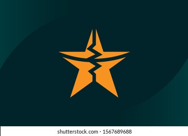 Modern abstract star flat illustration logo vector template