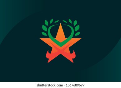 Modern abstract star flat illustration logo vector template