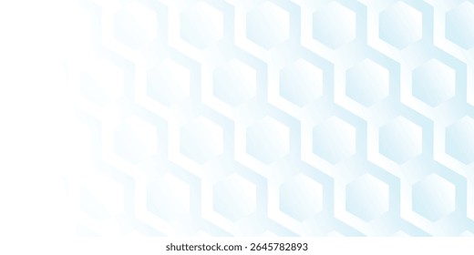 modern abstract white hexagon geometric with gradation background