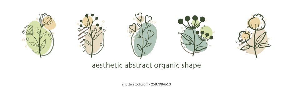 Modern aesthetic abstract organic shape and leaf line art in neutral color. Collection of simple delicate hand drawn flowers, leaves and branches in line art style.