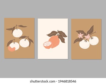 Modern aesthetic posters  in pastel colors with abstract fruits. lemon and tangerine, orange.  Vector design for posters, cards, packaging and more